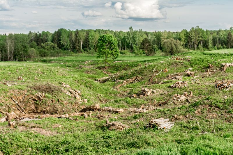 Habitat Restoration Work