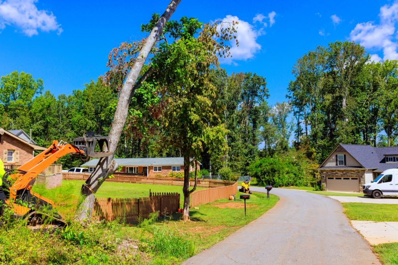 Beaver Removal Service