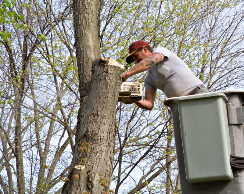 Why Beavers Target Culverts And Drainage Channels Near Homes